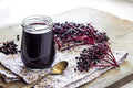 Fresh Elderberry Cuttings - Black-Bearing Variety - Grow 5 Bushes - Sambucus nigra