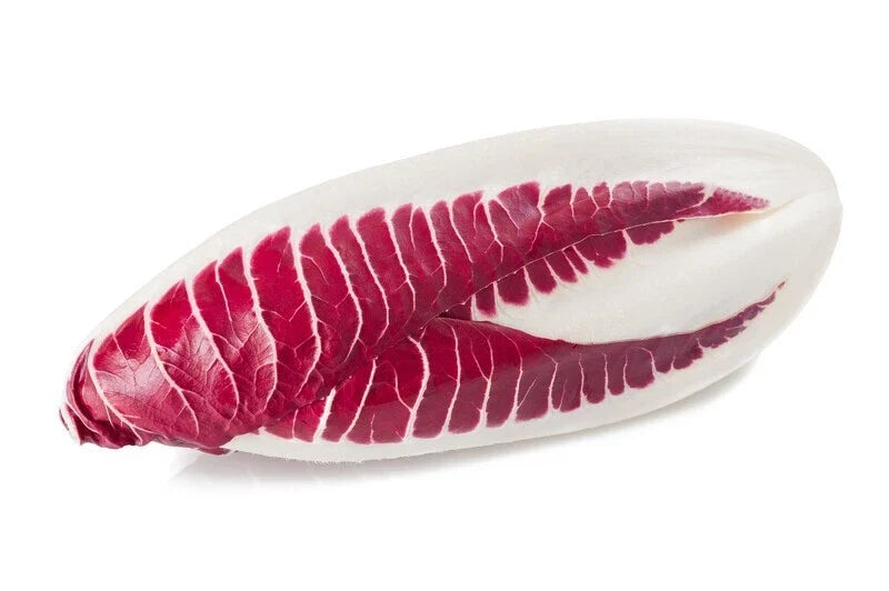 Endive Seeds - 2000 Count - Red Treviso - Non-GMO Heirloom - Free Shipping USA Seller