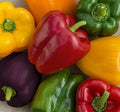 Rainbow Bell Pepper Seeds Mix - 30+ Seeds - Red, Orange, Purple, Yellow, White - Capsicum annuum - Free Shipping