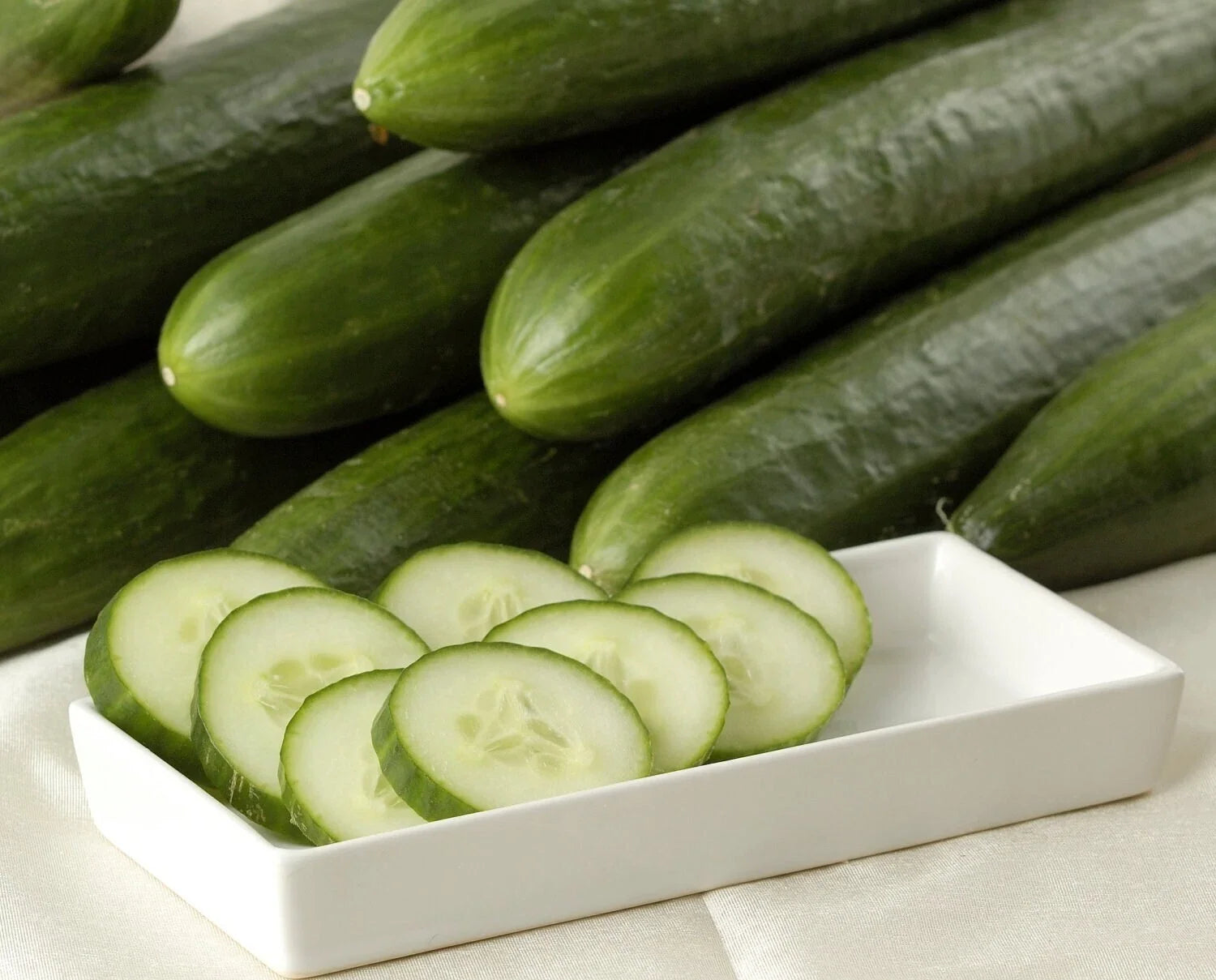 Heirloom Cucumber Seeds - 10+ Ashley Long Non-GMO Organic - Cucumis sativus