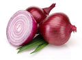 Bermuda Onion Seeds - 500 Count - Heirloom Variety for Garden Planting - Allium cepa - USA Grown