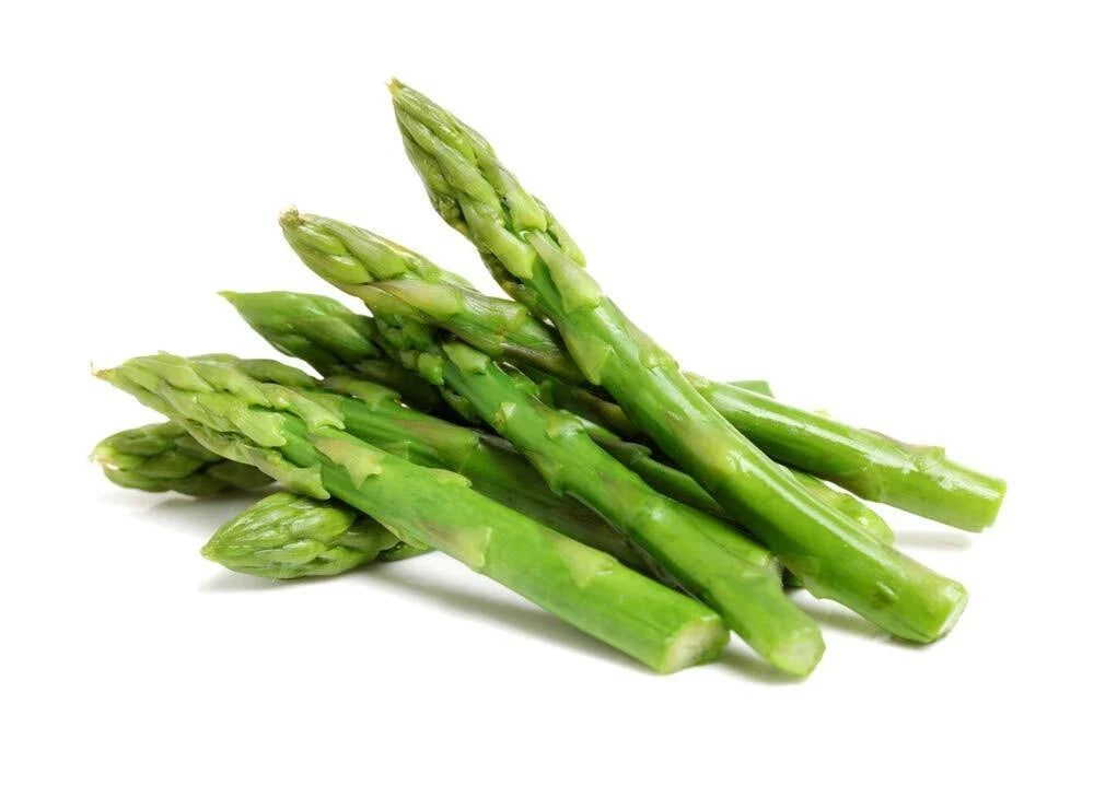 Green Asparagus Seeds | 150+ Non-GMO Seeds | Fresh Garden Vegetable Seeds for Planting | Asparagus officinalis