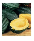 Table Queen Acorn Squash 50 Seeds - Heirloom Bush Variety for Beautiful Winter Gardens - Cucurbita pepo