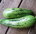 Caserta Squash Seeds for Planting - 10 Seeds - Heirloom Variety - Cucurbita pepo