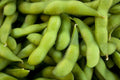 Be-Sweet 292 Edible Soybean Seeds - Fresh Soybean Seed - Glycine max - Non-GMO, Organic, FREE Shipping