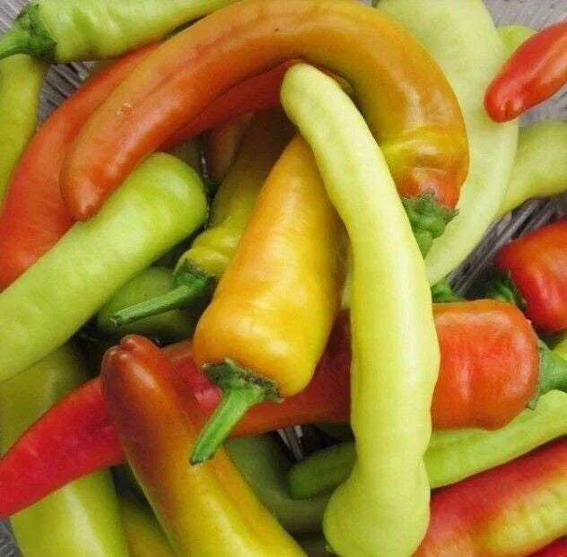 Hungarian Wax Hot Pepper Seeds, Non-GMO, Hot Banana Pepper Variety, Capsicum annuum, Tracking Included