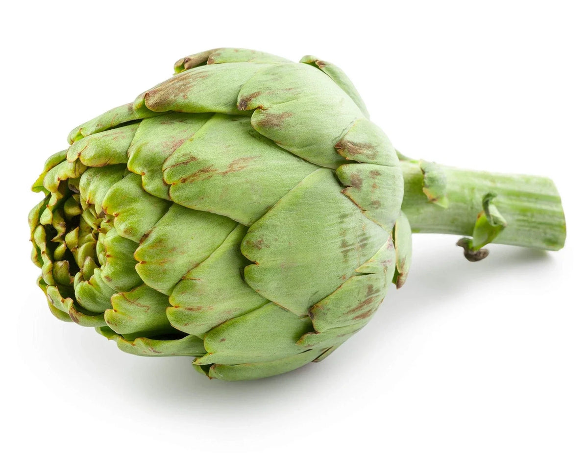 Exotic Globe Artichoke Seeds - 100+ Seeds - Rare Garden Vegetable - Cynara scolymus