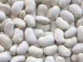 Kidney Bean Seeds - California White Variety - Organic Planting Seeds - Phaseolus vulgaris