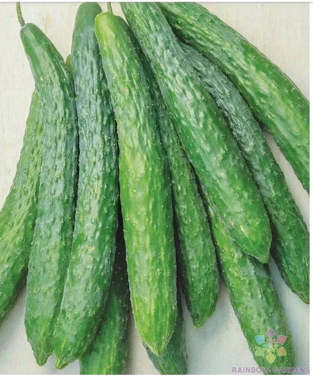 Dragon Suhyo Cross Cucumber Seeds - 25+ Pack - Heirloom Variety - Cucumis sativus - USA Grown