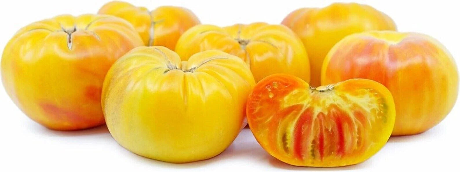 Pineapple Tomato Seeds - 120+ Heirloom Organic NON-GMO - Rare Fresh Seeds - Solanum lycopersicum