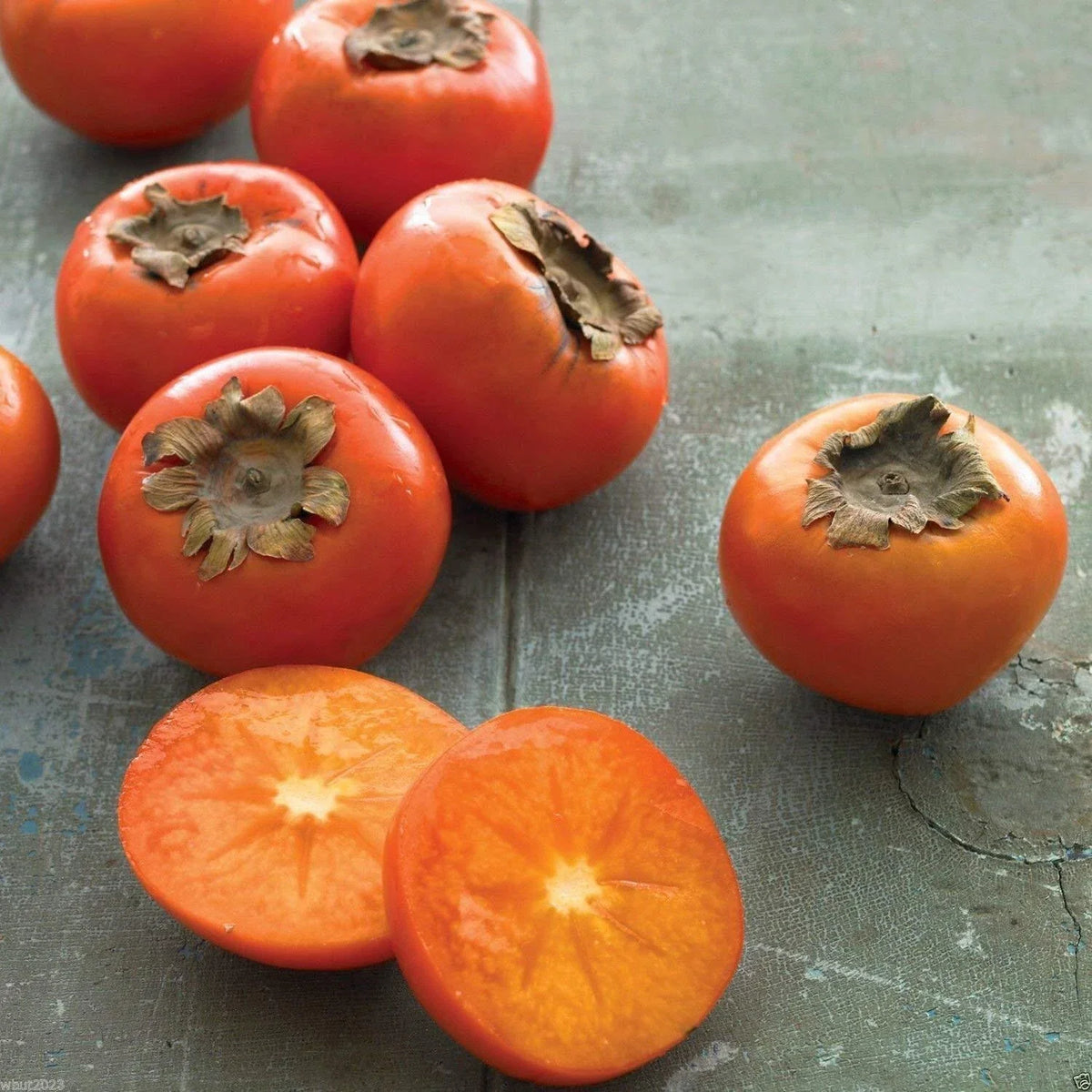 American Persimmon Seeds - 10 Count - Diospyros virginiana - Common Persimmon