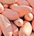 Jumbo Pink Banana Squash Seeds | Georgia Candy Roaster Pumpkin Winter Seeds 2025 | Heirloom Variety for Gardening