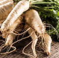 Hollow Crown Parsley Parsnip Seeds - Non-GMO, 125 Day Harvest, Heirloom Variety, Organic Gardening, Pastinaca sativa
