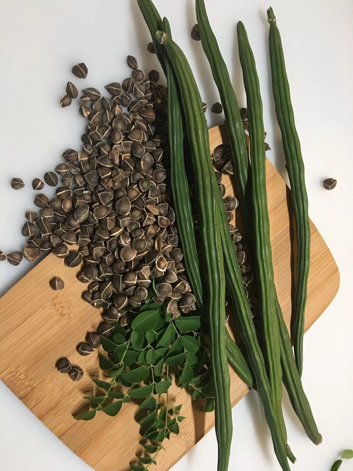 Organic Moringa Oleifera Seeds - 100 Non-GMO Drumstick Malunggay Seeds - Buy 2 Get 1 Free