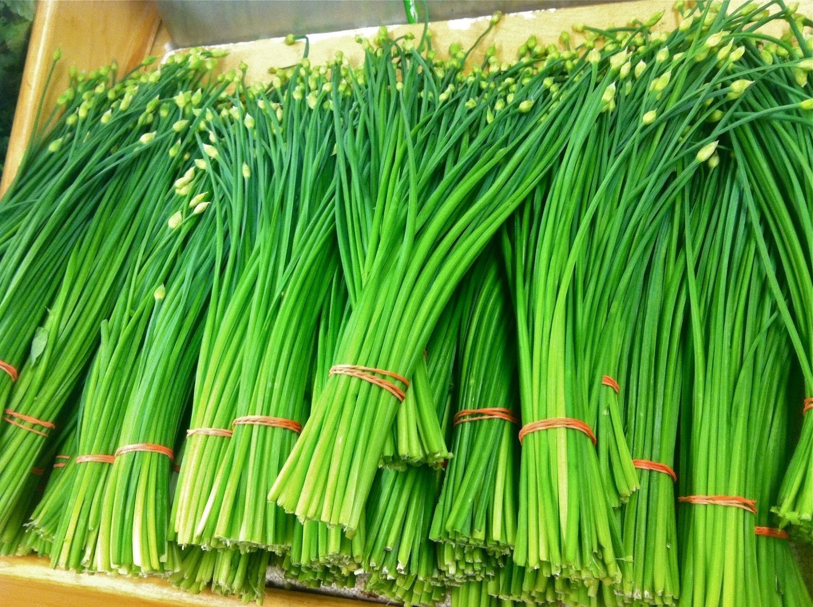 Garlic Chives Seeds - 100+ Organic Heirloom Non-GMO - Perennial Herb (Allium tuberosum)