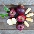 Arkansas Black Apple Tree, Bare Root, M7 Rootstock, Malus domestica