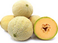 Goddess Cantaloupe Seeds - Fresh Cantaloupe Seeds for Planting - Cucumis melo