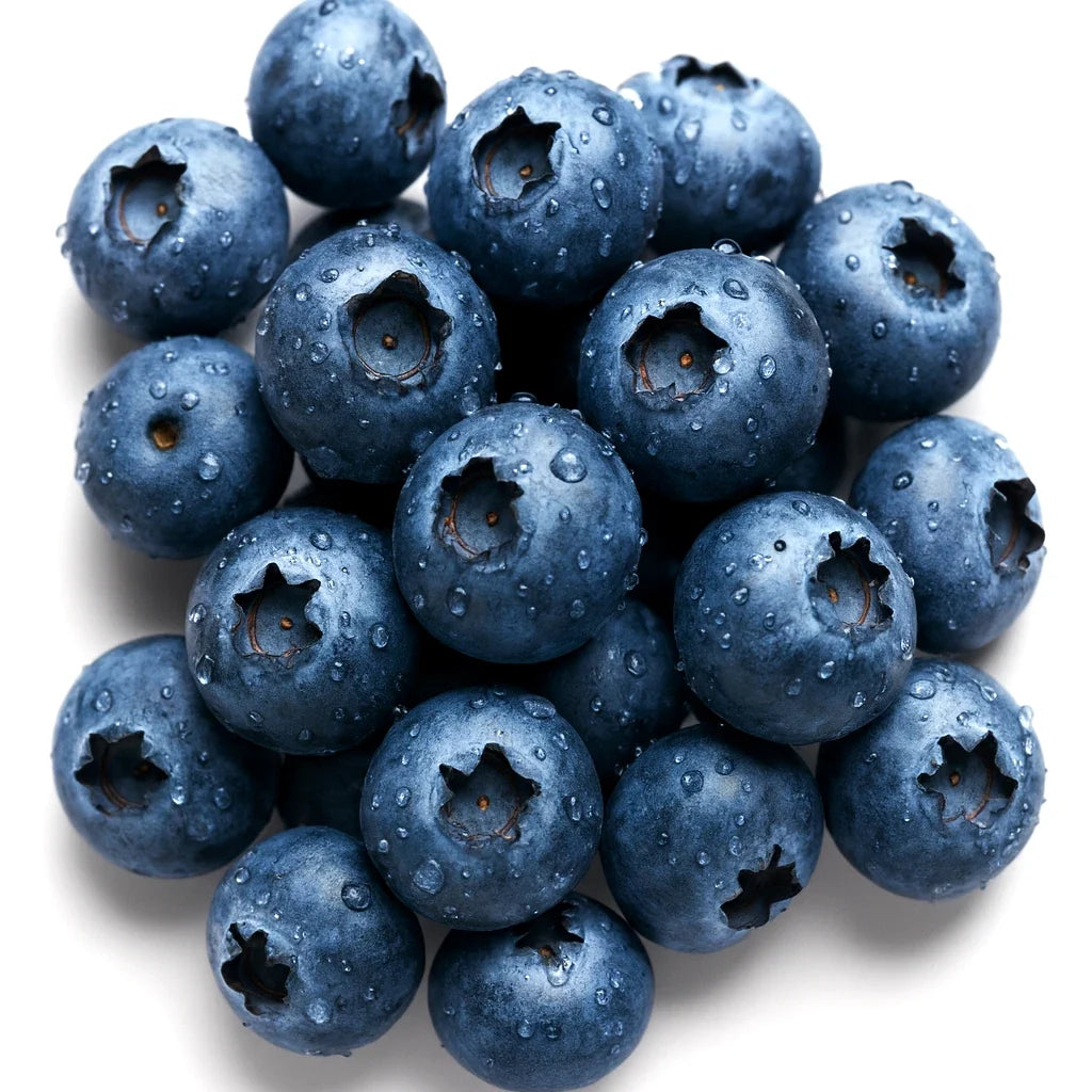 European Blueberry Seeds - 200 Bilberry Autumn Low Bush - Vaccinium myrtillus - Rare Sweet Variety, Free Shipping