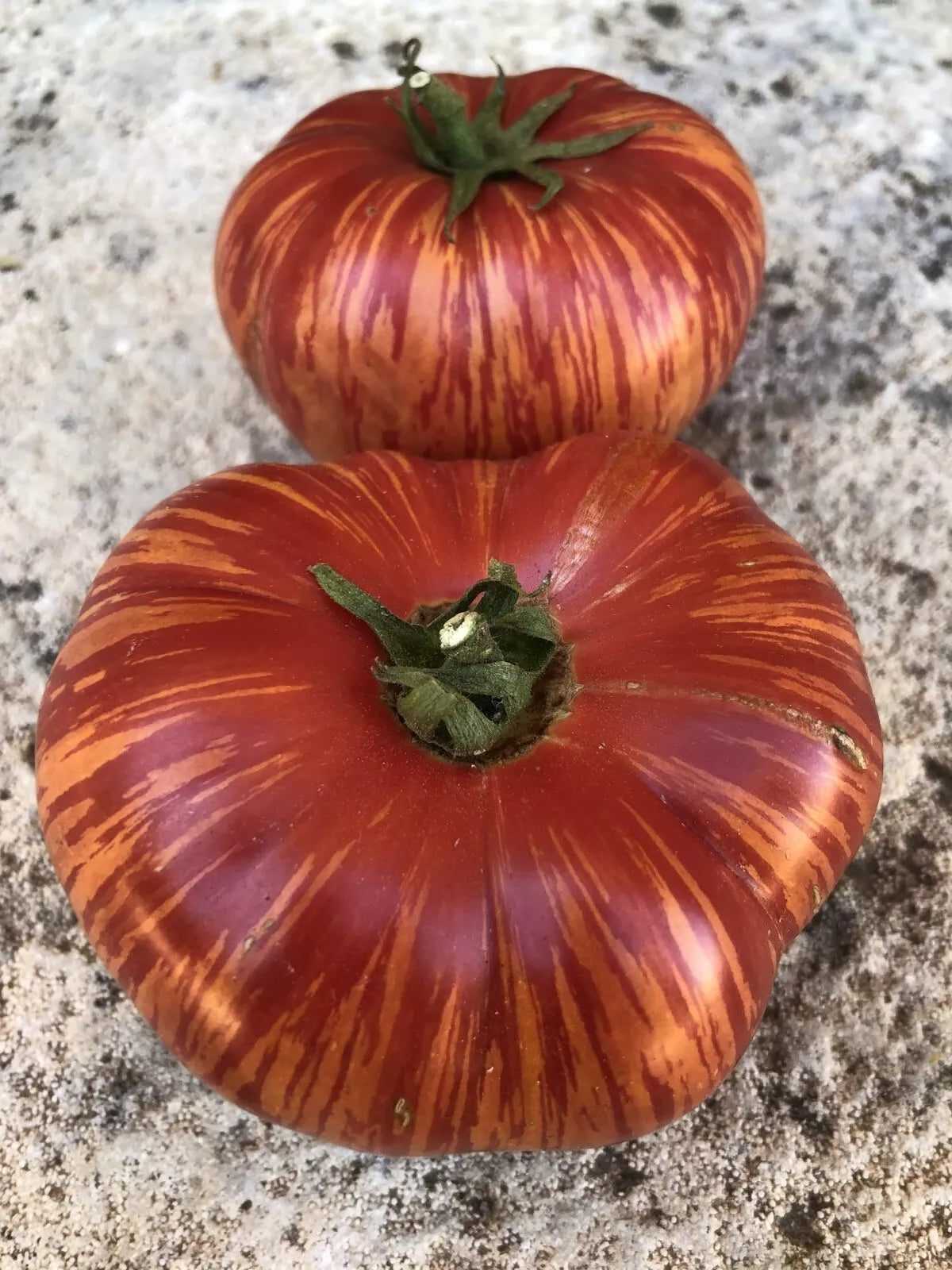 Vintage Wine Tomato Seeds - Rare Heirloom, NON-GMO, Potato Leaf Variety - Free Shipping