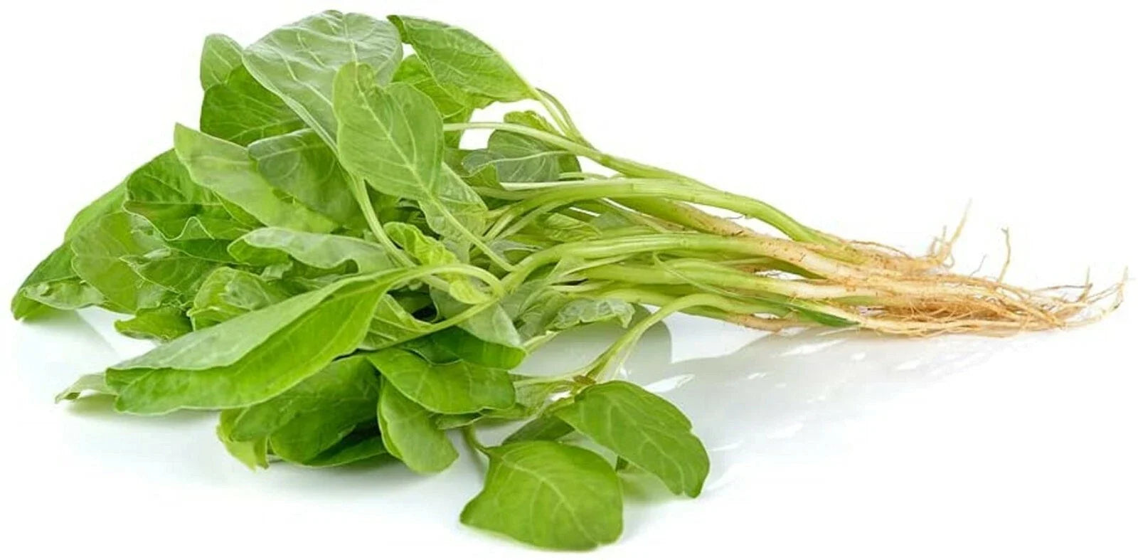 Green Amaranth Spinach Seeds - 100+ Edible Seeds for Planting (Amaranthus viridis) - Healthy Variety for Home Garden