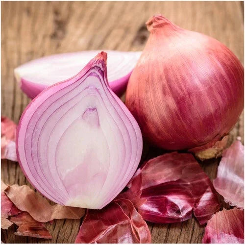 Ruby Red Onion Seeds - Heirloom Non-GMO Variety - Allium cepa - Garden Seeds - Free Shipping - Seed Store 1072