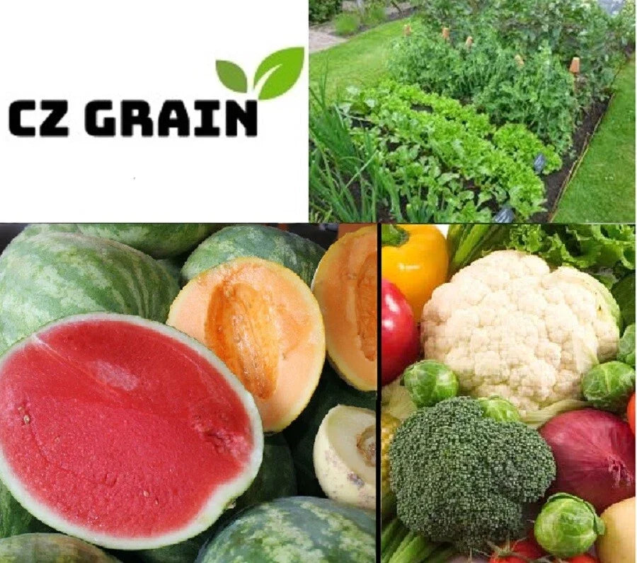 Vegetable Garden Seed Kit - 6 Varieties: Tomato, Carrot, Lettuce, Bean, Cucumber, Onion - Non-GMO Seeds