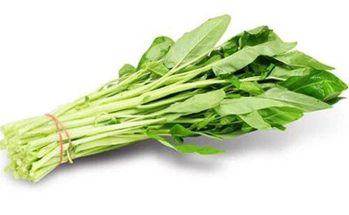 50 White Stem Water Spinach Seeds, Ong Choy, Kong Xin Cai, Heavy Producer, Fresh USA