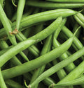 Heirloom Strike Bean Seeds 50 Ct - Bush Pod Green Vegetable Garden - Non-GMO (Phaseolus vulgaris)