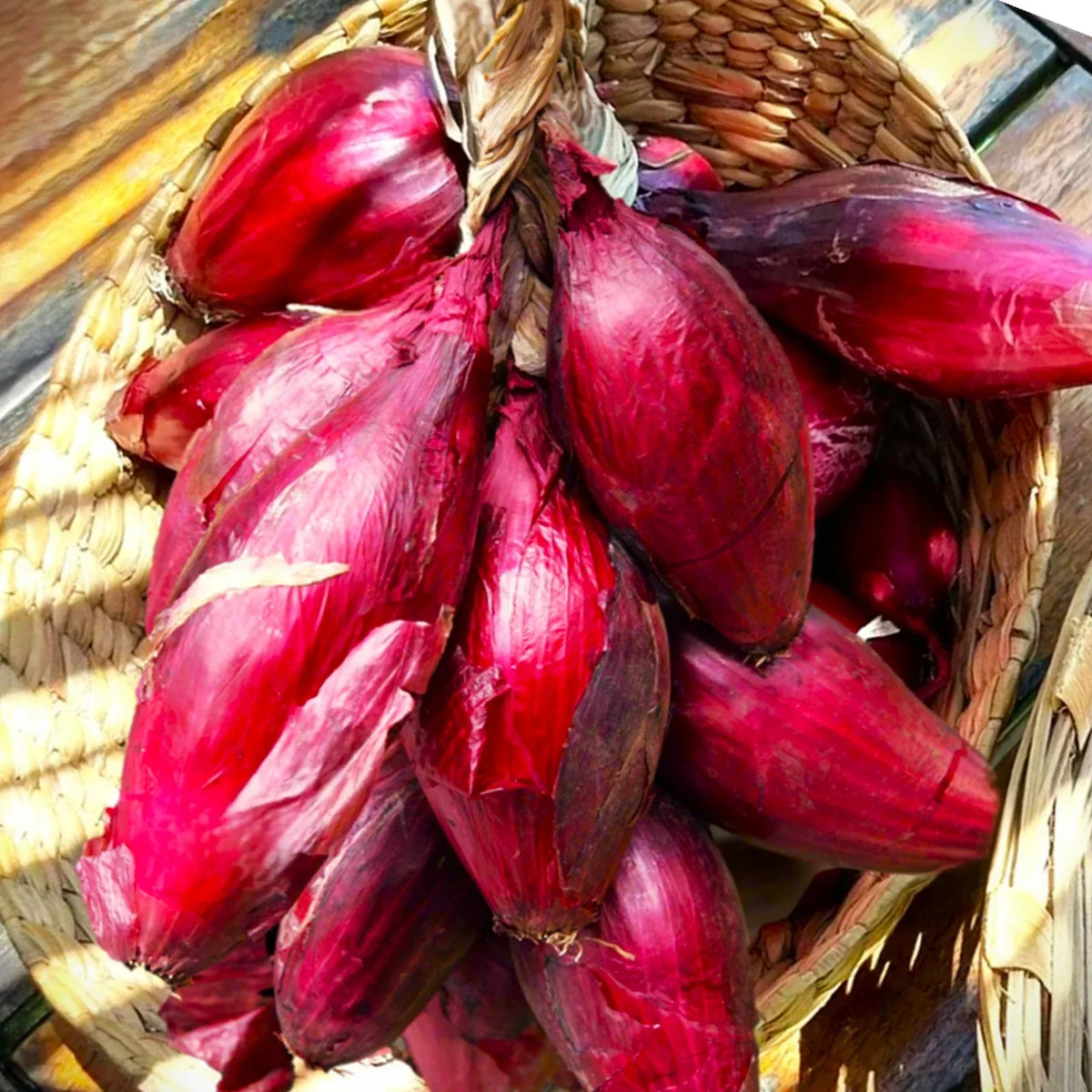 Red Tropea Onion 100 Seeds - Italian Cipolla Rossa Di Torpea - Heirloom Seeds for 2025 Planting