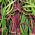 Yard Long Bean Seeds - Red and Green Mix - Asian Vegetable - 2025 Variety - Pole Bean Seeds for Garden