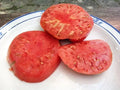 German Johnson Tomato Seeds - Heirloom Variety - 30+ Large Seeds - Solanum lycopersicum