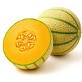 Honey Rock Cantaloupe Seeds 125+ Heirloom Non-GMO Sweet USA - Cucumis melo
