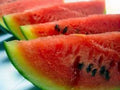 Watermelon Seeds, 100 Heirloom Charleston Grey Variety, Citrullus lanatus