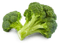Broccoli Seeds 250 Count | Non-GMO Fresh Garden Seeds | Brassica oleracea | Made in USA, Ships from Iowa