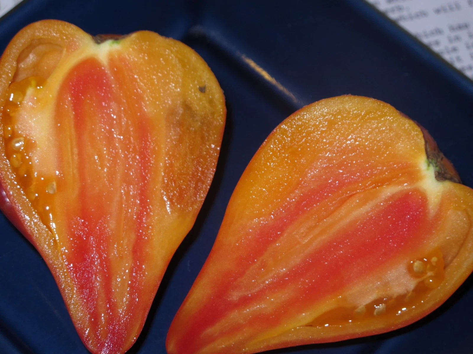 Orange Oxheart Tomato Seeds - 10+ Heirloom Organic - Rare Variety - Solanum lycopersicum
