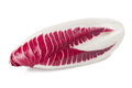 Endive Seeds - 2000 Count - Red Treviso - Non-GMO Heirloom - Cichorium endivia