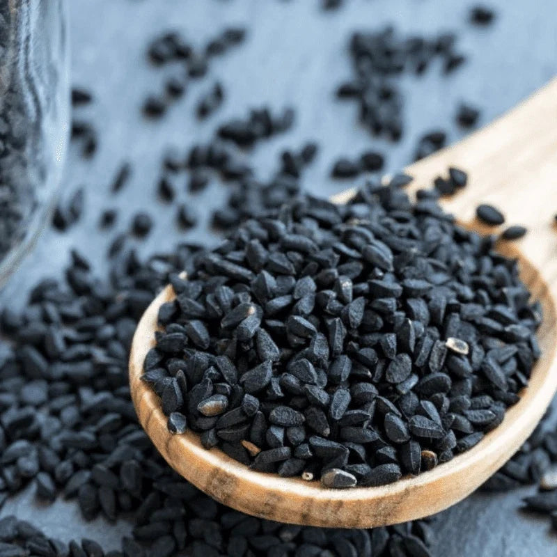 Black Cumin 100 Seeds Heirloom Non-GMO Nigella Sativa - Organic Spice for Cooking and Health