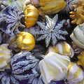 Ten Commandments Gourd Seeds | 12+ Fresh Seeds | Unique Decorative Variety | Cucurbita pepo