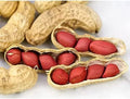 Tennessee Red Peanut Seeds - 20 Seeds Packet (10 Shells) - Non-GMO Variety, Arachis hypogaea