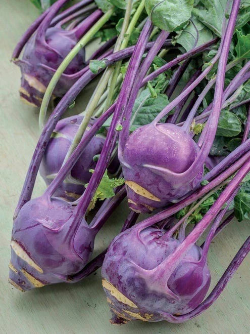 Purple Vienna Kohlrabi Seeds - 200+ Non-GMO Heirloom Fresh Garden Seeds - Brassica oleracea