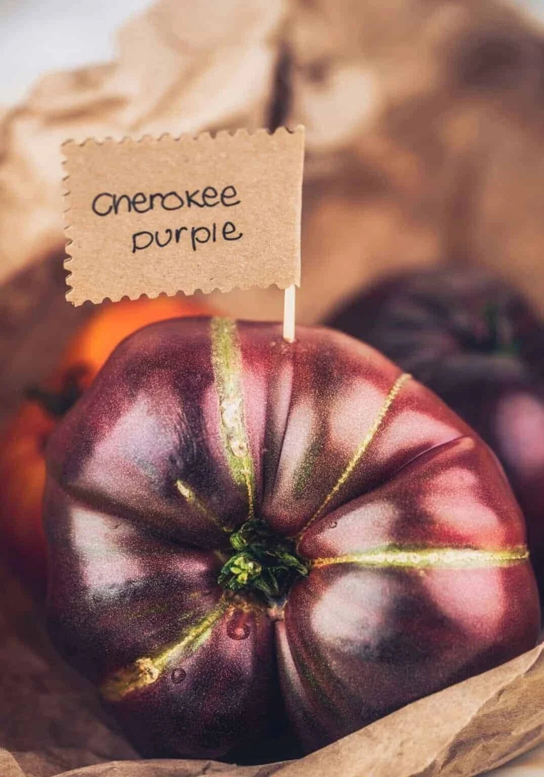 Cherokee Purple Tomato Seeds - 10+ Heirloom Non-GMO Organic - Fresh - Solanum lycopersicum