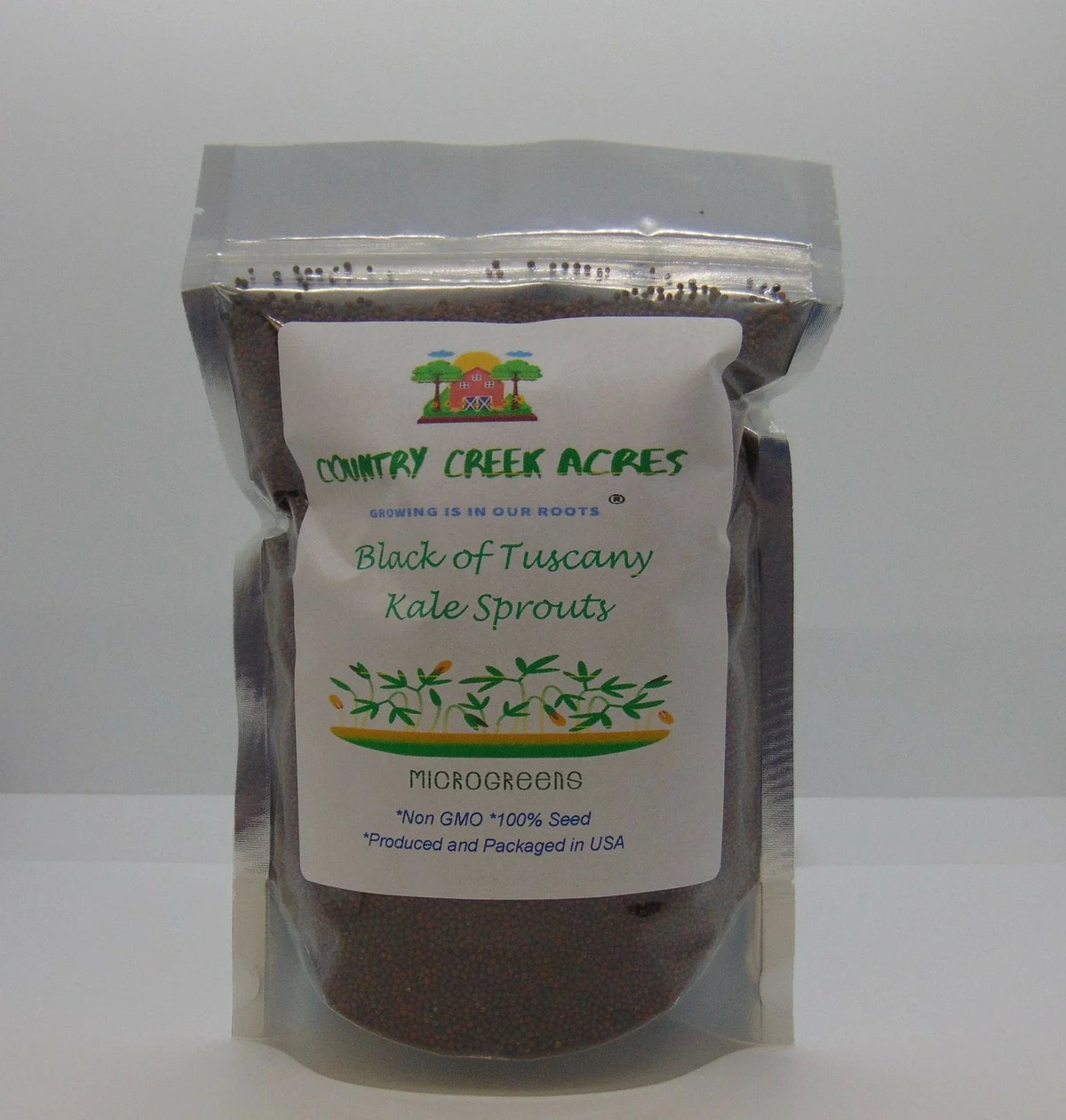 Black of Tuscany Kale Seeds - Heirloom Italian Variety - Brassica oleracea