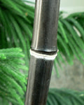 Black Bamboo Plant - 1 Gallon - Phyllostachys Nigra - Lush Foliage, Not Just a Root Ball