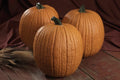 Pumpkin Seeds - Mr. Wrinkles Variety - Fresh Non-GMO Seeds for Planting - Cucurbita pepo