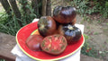 Black Beauty Tomato Seeds - Organic Heirloom - 10+ Seeds - Solanum lycopersicum - Rare Variety