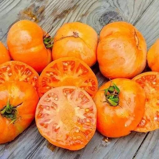 Amana Orange Tomato Seeds - 120+ Heirloom Organic Seeds - Rare Variety - Solanum lycopersicum