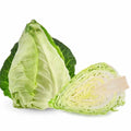 Pointed Cabbage Seeds - 500+ Seeds for Garden Planting - Brassica oleracea - USA Grown, Non-GMO