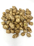Organic White Sunchoke Tubers for Planting - Helianthus tuberosus - Non-GMO Jerusalem Artichoke, Easy to Grow, Perennial Vegetable