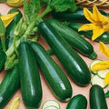 50+ Black Beauty Zucchini Squash Seeds - Heirloom, Non-GMO, Organic - Fresh Vegetable for Home Gardening