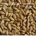 Organic Barley Seeds - Whole Grain 300+ Seeds, Non-GMO Cat Grass Starter Pack, Perfect for Indoor Felines